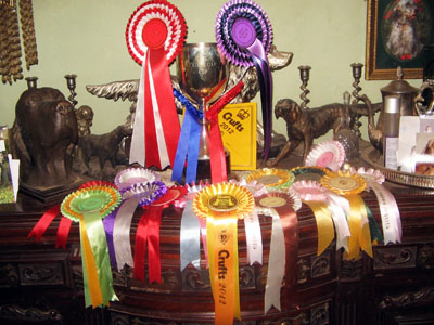 Small picture of Harry's rosettes. Click the image to see the larger sized photograph